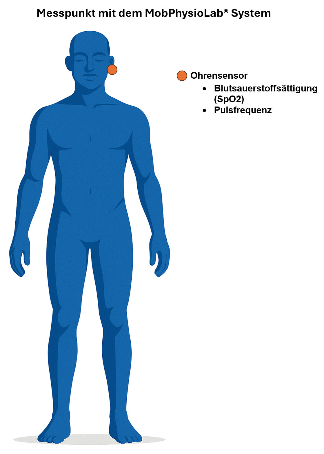 Messung Pulsfrequenz Messung Pulsfrequenz